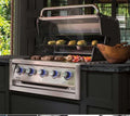 Broil King Regal S520 5-Burner Built-In Natural Gas Grill 886717