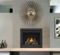 Napoleon Ascent Deep 42 Direct Vent Natural Gas Fireplace D42NTRE