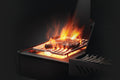 Napoleon Phantom Prestige® 500 RSIB (with Infrared Side and Rear Burners) Natural Gas Grill